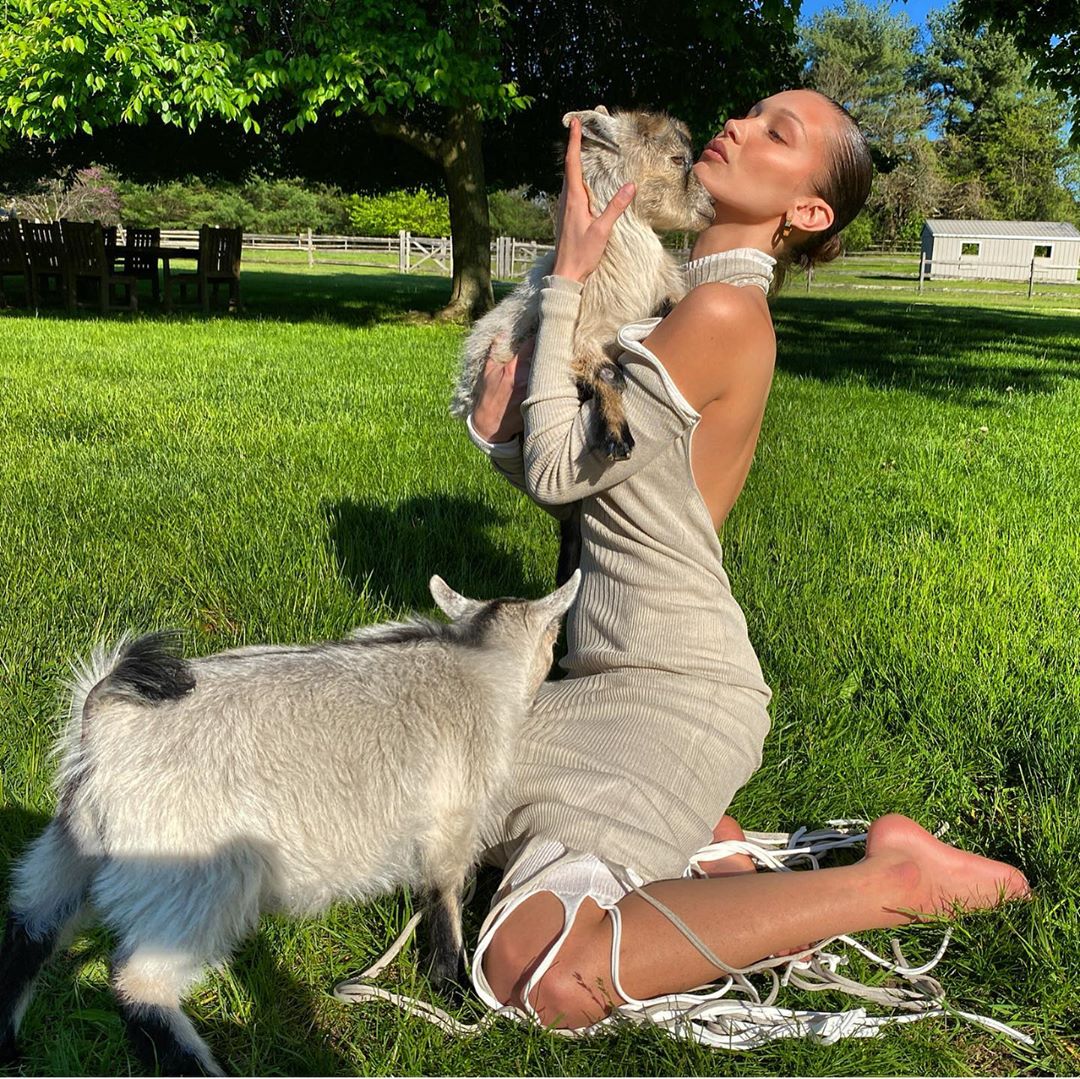Bella Hadid The Goat Whisperer! - Photo 4