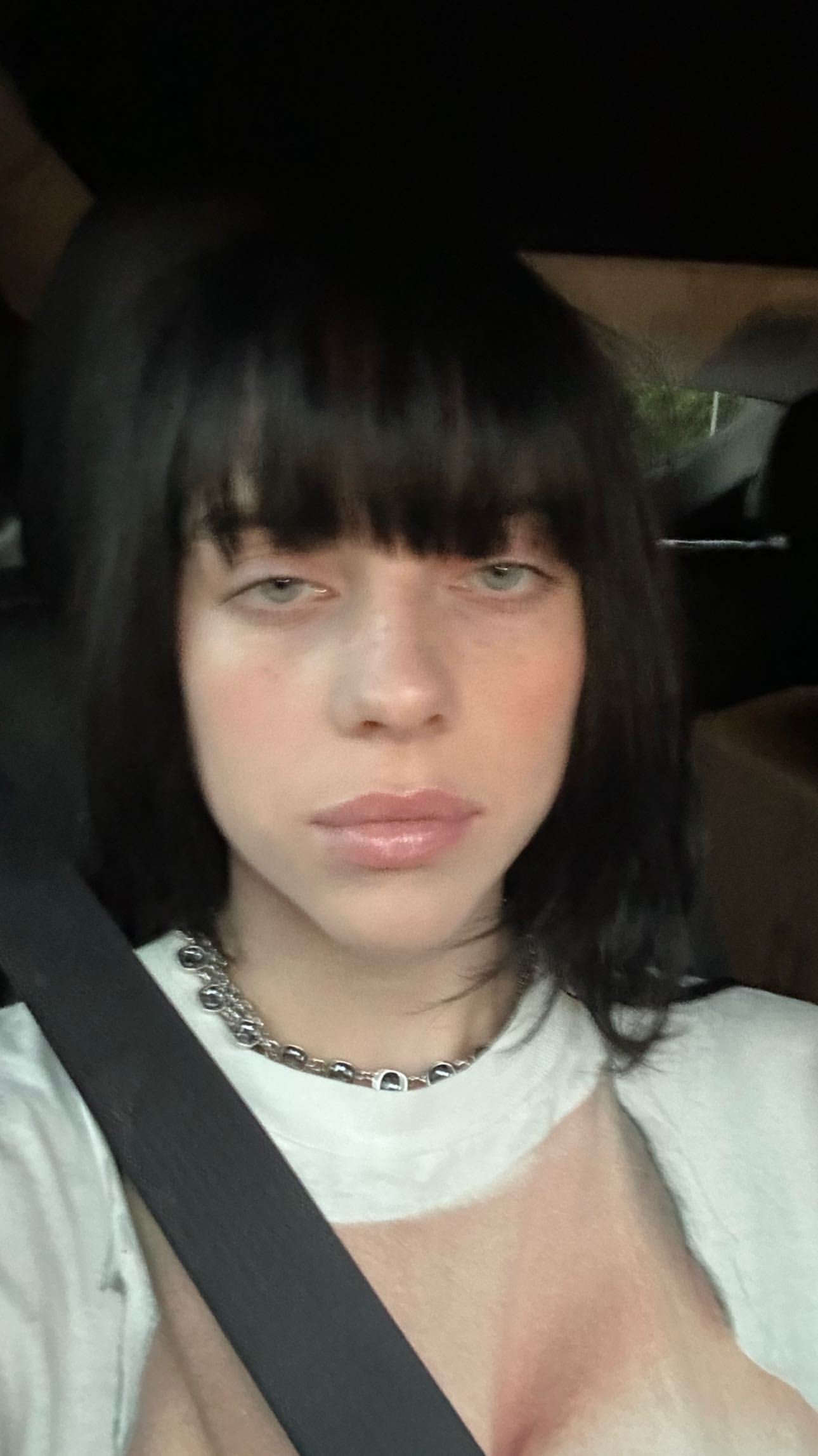 Billie Eilish Bares Some Breasts At For Thanksgiving